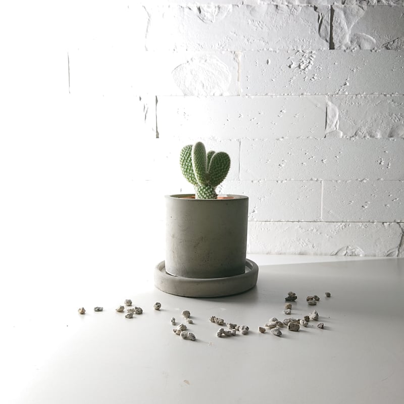 【さゆ】オープンフラワー風　グルーデコ土台他3点おまとめ _ pierce 〜ceramic collage accessory〜 ○ 7,8月の予定 ○ 7