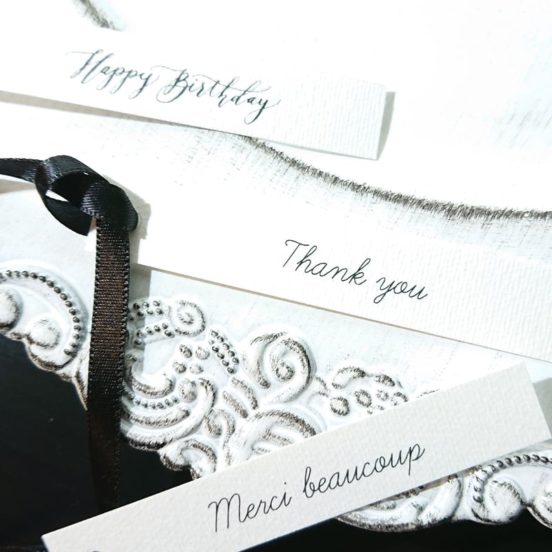 ○数量限定○”ブラックパール 鉢カバー付き（オランダ）” 観葉植物 黒