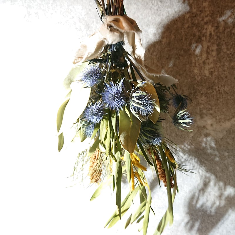 ドライフラワー☆ポンポンミモザ エリンジューム ナンキンハゼ ドライ