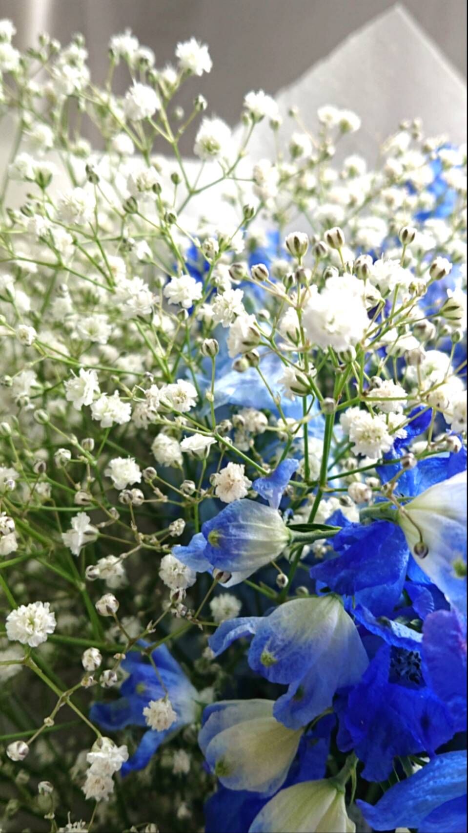 Delphinium＆Gypsophila- flower arrangement” （デルフィニュームと