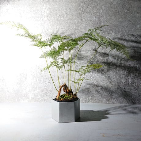 CATEGORY 器 | berries online shop CATEGORY 器 | berries online shop