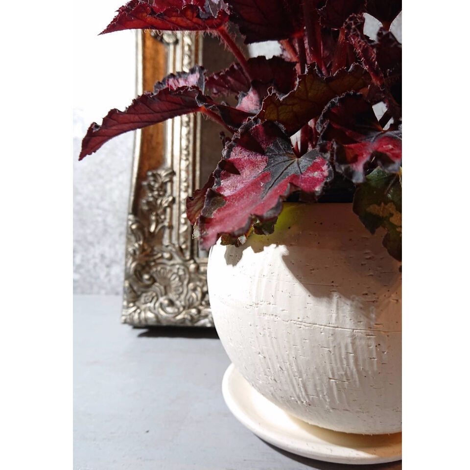 額入りベゴニアアレンジ ステンドグラス 額入りベゴニアアレンジ ステンドグラス