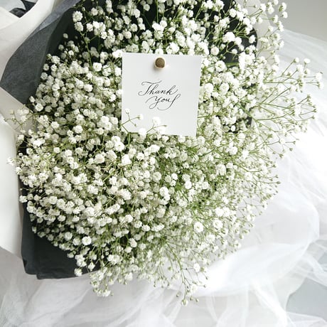 想いを伝える”Gypsophila elegans-calico”　かすみ草-キャラコ(白木綿)ラッピング　花束　花