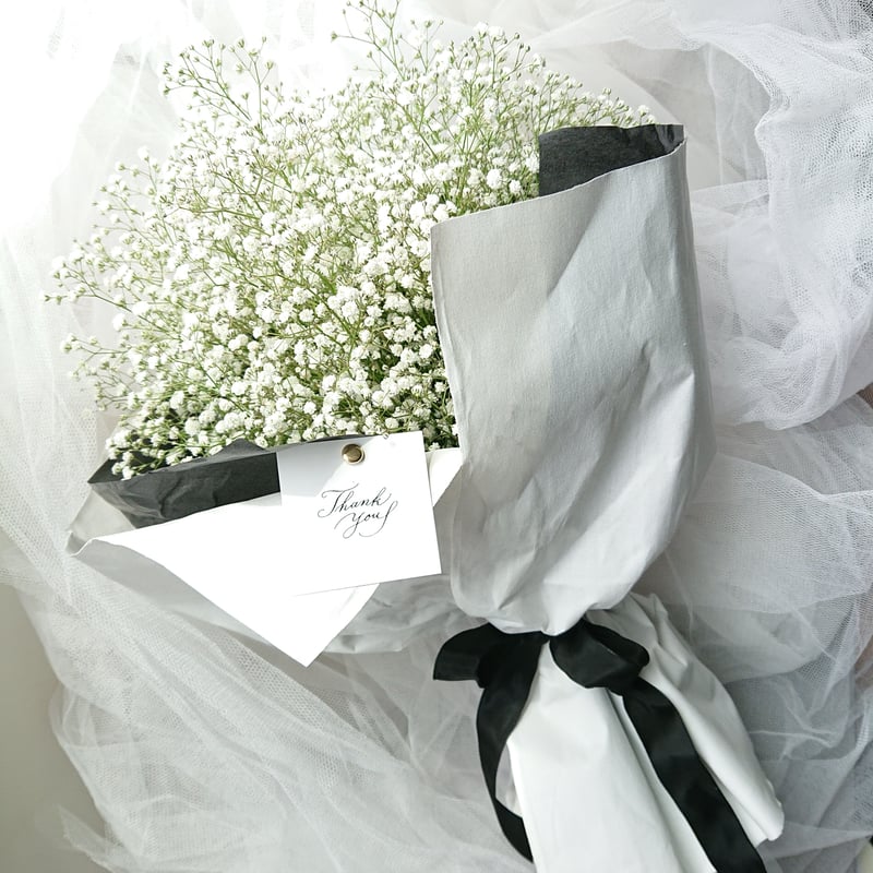 想いを伝える”Gypsophila elegans-calico” かすみ草-キャラコ(白木綿