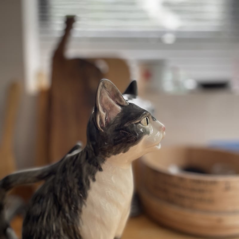 ボルダロピニェイロ Bordallo Pinheiro 白猫 置物 【公式通販】