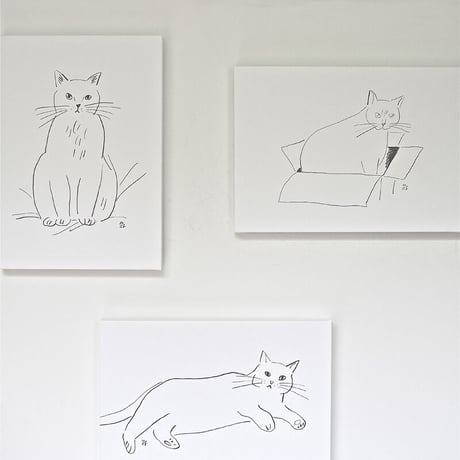 落合恵 / Domestic Cat 02