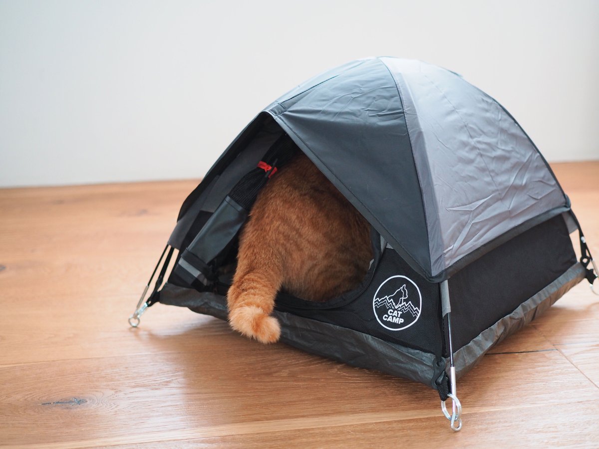 Cat Camp / Cat Tent