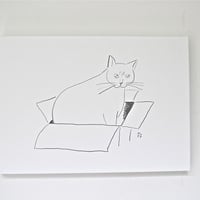 落合恵 / Domestic Cat 01