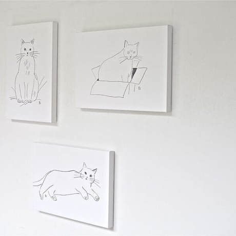落合恵 / Domestic Cat 01