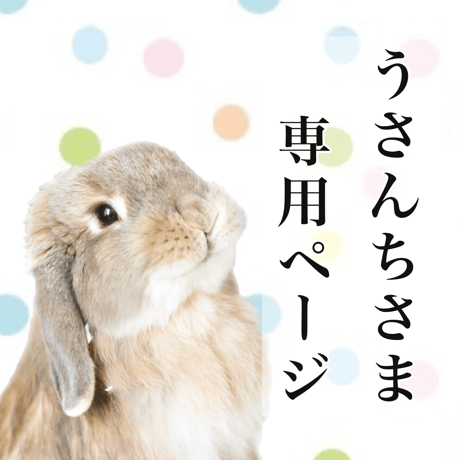 うさぎさん様専用ページ うさぎものがたり うさぎさん様専用ページ うさぎものがたり