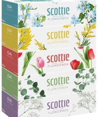 スコッティ (SCOTTIE) ティッシュペーパー フラワーボックス 500枚(250組)5箱×12パック(60箱)　まとめ買い　送料無料