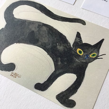 たんじあきこ　ポストカードAセット（5枚）