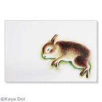 どいかや「うさぎのルーピースー」ポストカード