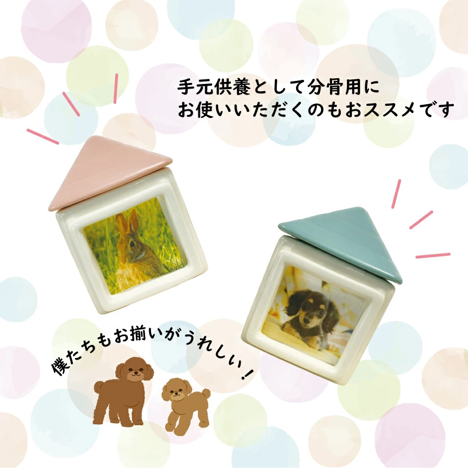 654de11ea1a48606406a8c57