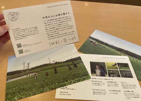 Green Letter全20種類(1煎パック)SET