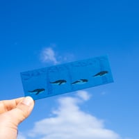 活版栞 氷海を行く