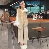 ミンク ファー フェイクファーボリュームコートジャケット アウター コート ベスト 秋冬物      海外      [F]     2019101810
