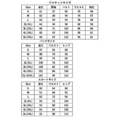 3色★S～5L★  OL 通勤 ビジネス パーティー 卒園式 二次会 オシャレ印象 スーツセット   TF9909
