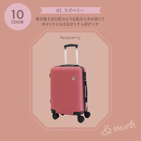 スーツケース キャリーケース キャリーバッグ Lサイズ 4泊～8泊 100L 縦型 くすみカラー 拡張機能 TSAロック ダイヤル式ロック マチ拡張 軽量 静音 海外 国内 旅行 かわいい 女子旅