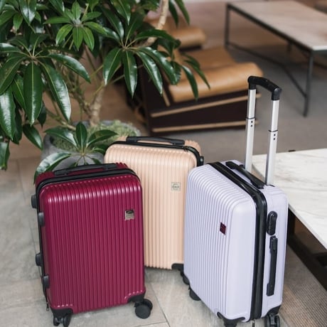 スーツケース キャリーケース キャリーバッグ Sサイズ 1泊～3泊 35L 縦型 くすみカラー 機内持ち込み可能 TSAロック 軽量 静音 小型 海外 国内 旅行 かわいい おしゃれ 女子旅