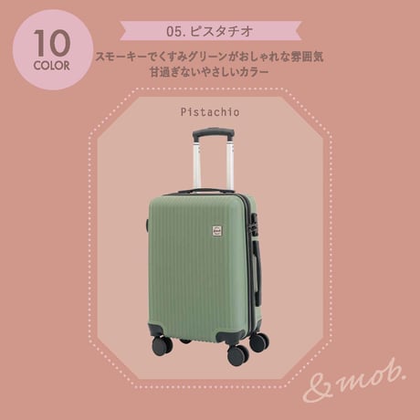 スーツケース キャリーケース キャリーバッグ Sサイズ 1泊～3泊 35L 縦型 くすみカラー 機内持ち込み可能 TSAロック 軽量 静音 小型 海外 国内 旅行 かわいい おしゃれ 女子旅