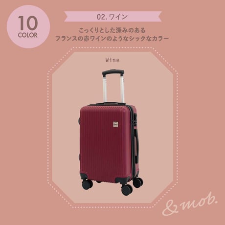 スーツケース キャリーケース キャリーバッグ Sサイズ 1泊～3泊 35L 縦型 くすみカラー 機内持ち込み可能 TSAロック 軽量 静音 小型 海外 国内 旅行 かわいい おしゃれ 女子旅