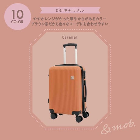 スーツケース キャリーケース キャリーバッグ Lサイズ 4泊～8泊 100L 縦型 くすみカラー 拡張機能 TSAロック ダイヤル式ロック マチ拡張 軽量 静音 海外 国内 旅行 かわいい 女子旅