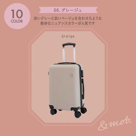 スーツケース キャリーケース キャリーバッグ Lサイズ 4泊～8泊 100L 縦型 くすみカラー 拡張機能 TSAロック ダイヤル式ロック マチ拡張 軽量 静音 海外 国内 旅行 かわいい 女子旅
