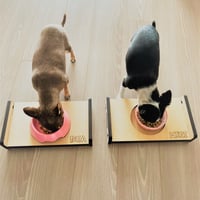フードボールスタンド　名入れ無料