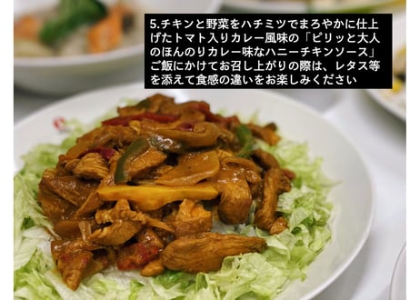 【送料無料】サンタのおうちごはん　10食セット