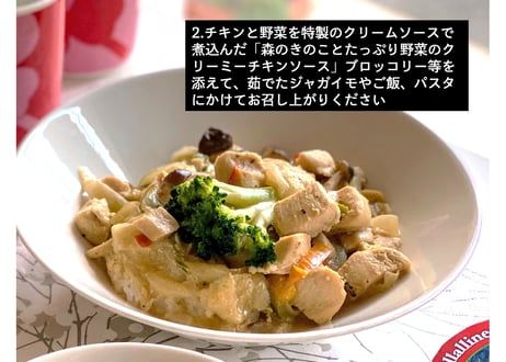 【送料無料】サンタのおうちごはん　10食セット