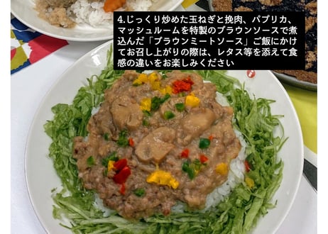 【送料無料】サンタのおうちごはん　10食セット