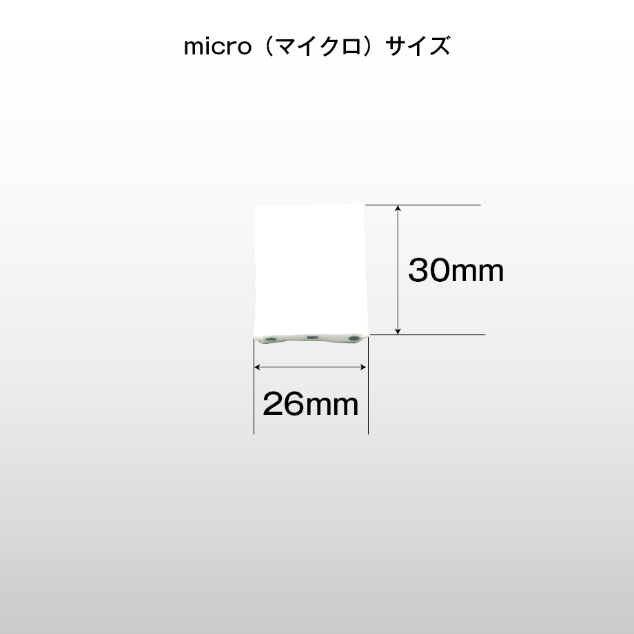 キャンバスプリント（マイクロサイズ：縦30mm×横26mm）1個