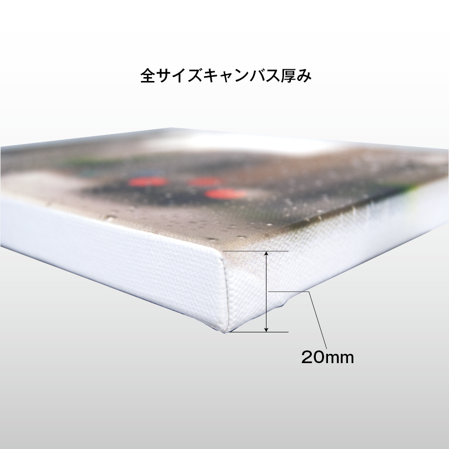 【私から遠のいた君をずっと見ていた。】キャンバスプリントF4号 楽天市場】【最短当日発送】F4号（333×242mm）の印刷がきれいな
