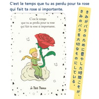 【フランス輸入品】ポストカード（箔押し加工）56