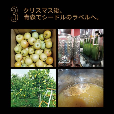 NEP*ART CIDRE 2024【トキあっぷる社】