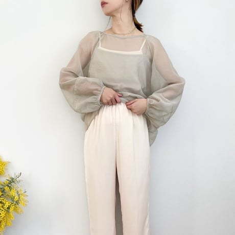 Sheer Blouse & Camisole Set