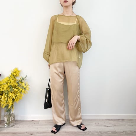 Sheer Blouse & Camisole Set