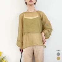 Sheer Blouse & Camisole Set