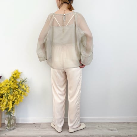Sheer Blouse & Camisole Set