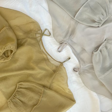 Sheer Blouse & Camisole Set