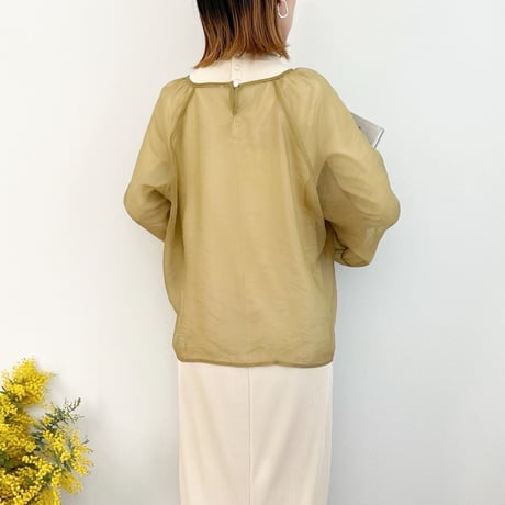 Sheer Blouse & Camisole Set