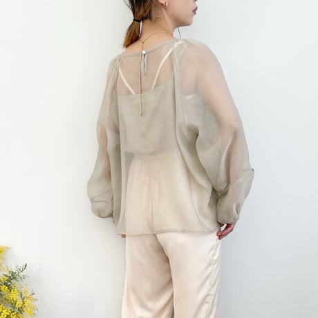 Sheer Blouse & Camisole Set