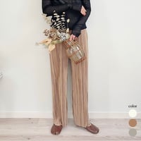 Shiny Pleated PT