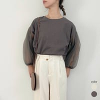 sheer volume sleeve TOPs