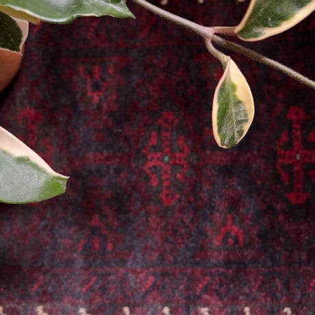 【VR226】 Afghan Baluch rug