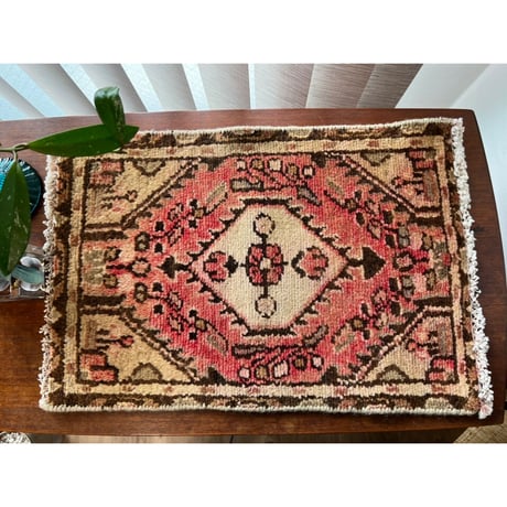 【aさまご予約品】cushion cover &mini rug
