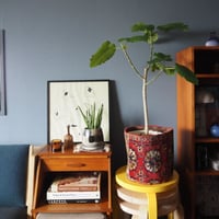 【VP050】 Afghan  Rug pot ①