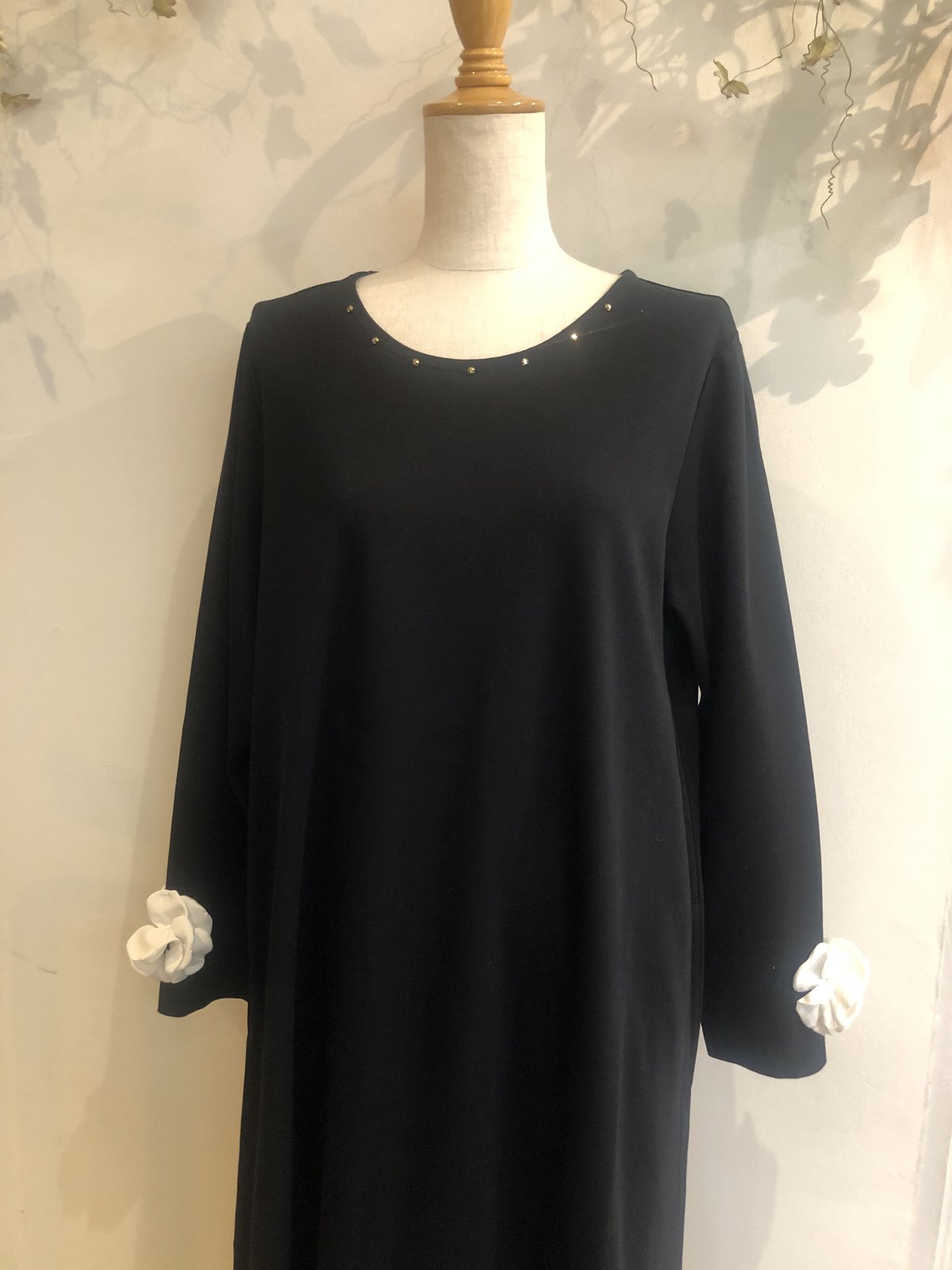 さえら、アキアカネ、ポテチーノ、ワンピース。 ポテチーノの