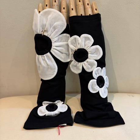 さえら POTECHINO マリーアン金沢